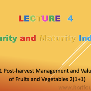 Maturity and Maturity Indices PPT